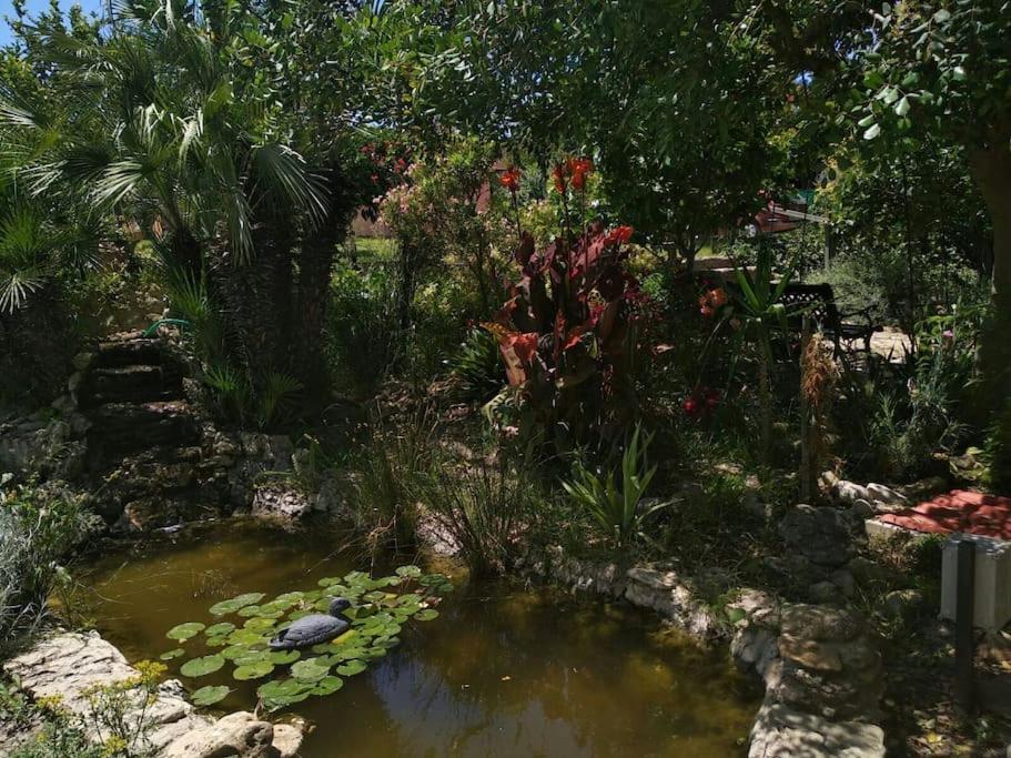 Villa Vivienda Rural La Choza Jerez de la Frontera Exterior foto